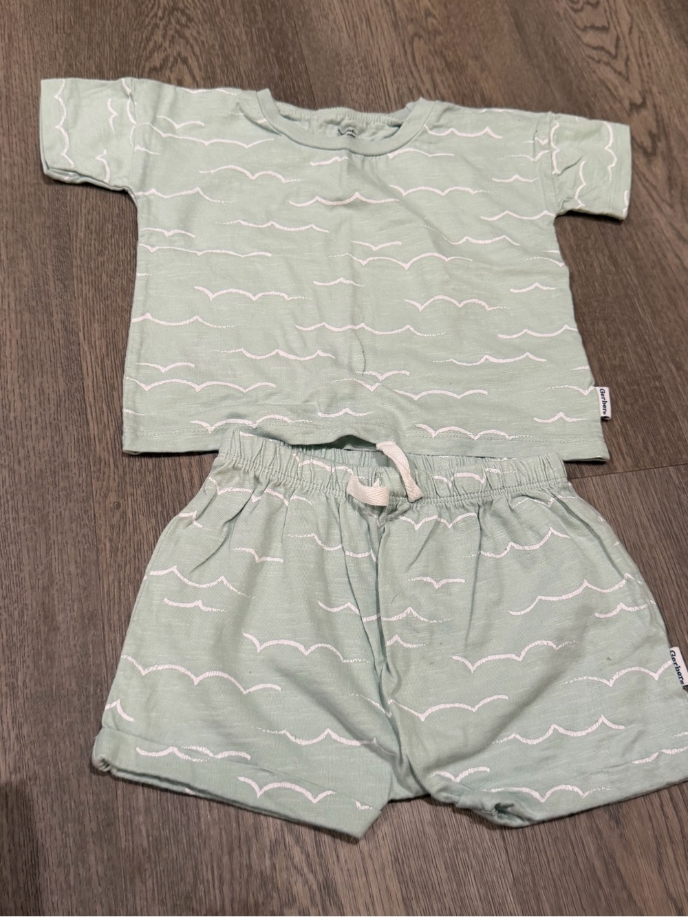 Gerber Toddler Boy’s 2 Pc Light Green Wave T Shirt & Shorts Set 18 Months